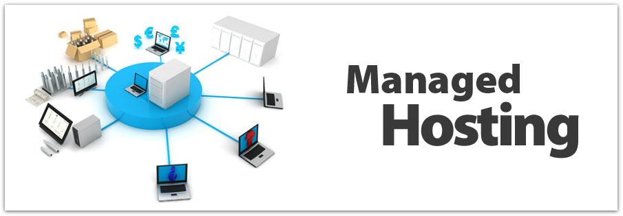 Managed Security Hosting: Is It Worth the Extra Cost?